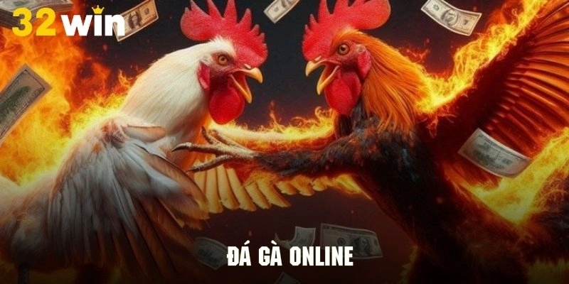 Siêu phẩm đá gà kịch tính với hơn hàng trăm trận kinh điển Siêu phẩm đá gà kịch tính với hơn hàng trăm trận kinh điển