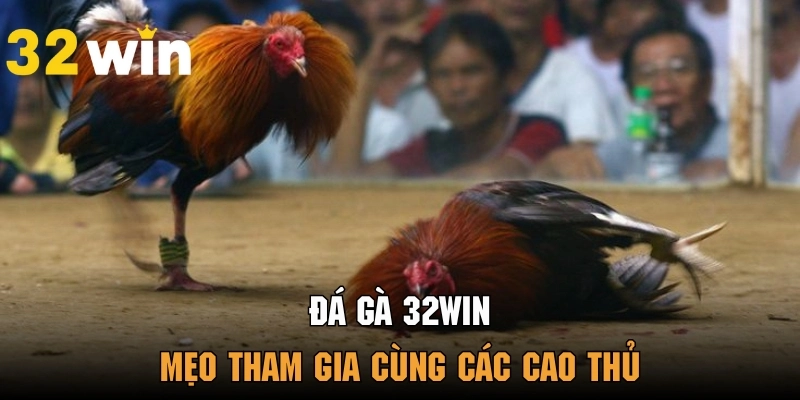Khám phá các mẹo chơi cực đỉnh từ cao thủ giúp tối ưu phần thưởng