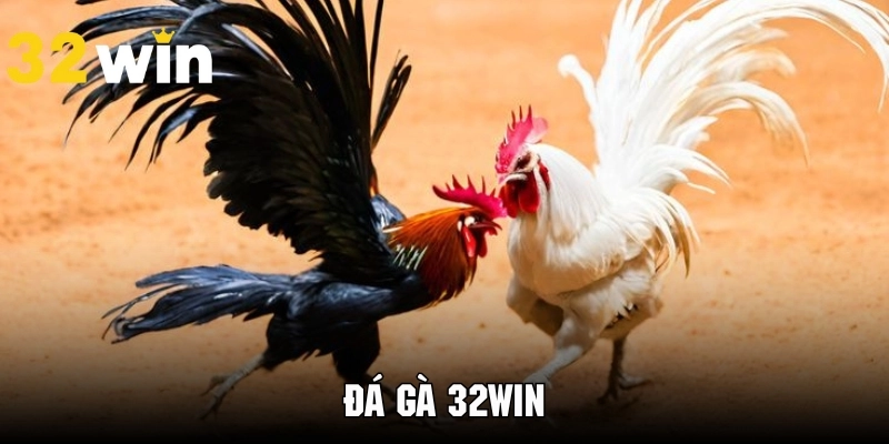 Vài nét về đá gà 32WIN