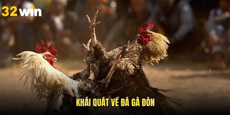 Tổng quát giới thiệu qua hình thức đá gà đòn