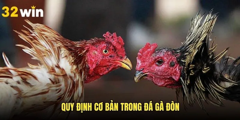 Luật quy định trong một trận chọi mà hội viên nên biết