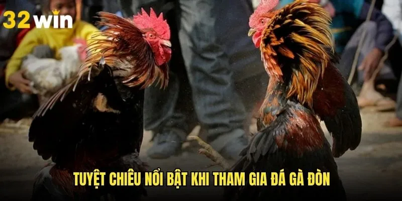 Tuyệt chiêu bất bại khi tham gia đá gà đòn trên nền tảng