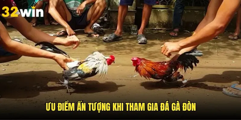 Những đặc điểm ấn tượng khi tham gia cá cược chọi gà